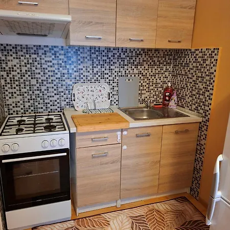 Ubytovani Teplice Apartment