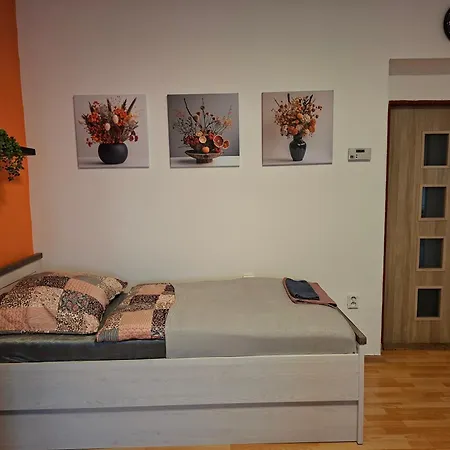 Appartement Ubytovani Teplice Teplice