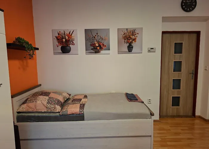 Apartment Ubytovani Teplice Teplice